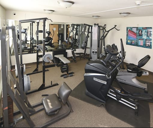 a gym with various machines and weights on the floor Pinewood Estates, Zimmerman, 55398