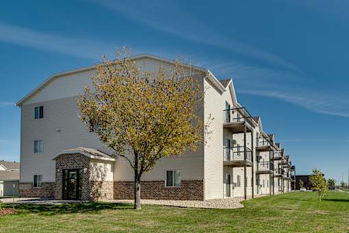 A tree with yellow leaves is in front of a white building.