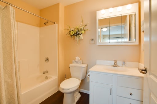 Bathroom at Stetson Village Apartments, Fergus Falls, Minnesota
