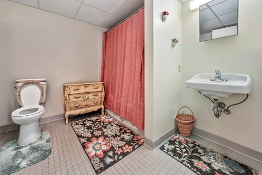 A bathroom with a toilet, sink, and floral rugs.
