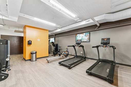 A gym with treadmills, a weight machine, and a TV.