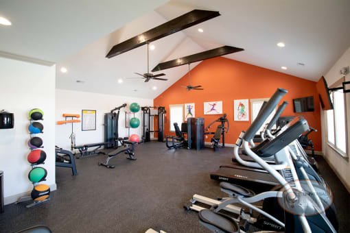 A fitness center with weight training and cardio equipment.ills and free weights