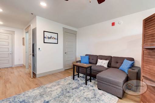 The living area in a studio apartment  with a grey couch and a blue rug.