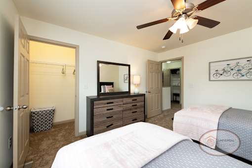 A bedroom with a walk-in closet, ceiling fan, and carpet.