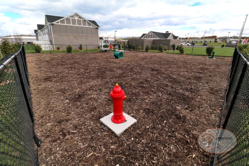 A fenced in dog park with red fire hydrant in front and a green tube in the background.