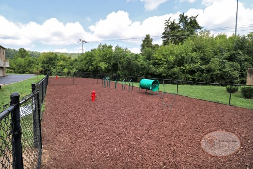 a dog park with a fire hydrant and a chain link fence