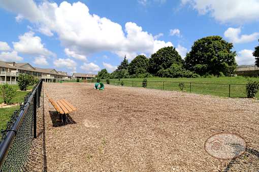 A view of the inside of the fenced in dog park with obstacles and seating.