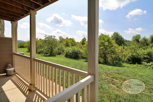 A view from the patio.