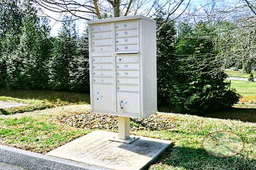 A white mailbox with the number 11 on it is in front of a green tree.