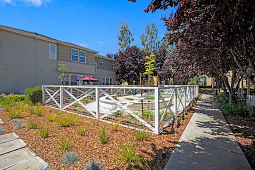 A white fence encloses a small garden area.