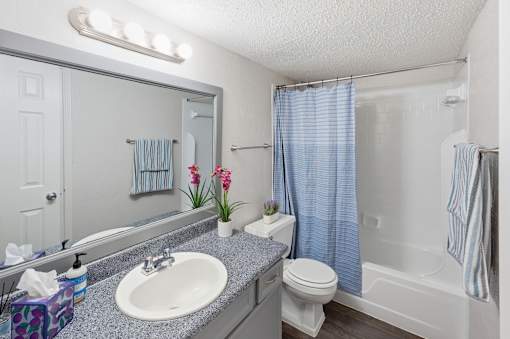 A bathroom with a sink, toilet, and shower.