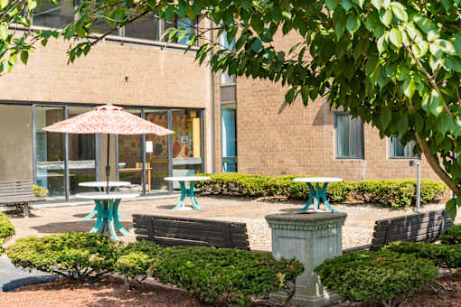 A patio with a table and chairs is surrounded by bushes and trees.