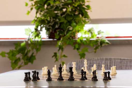 Community room  chessboard with pieces in the middle of a game with a green plant in the background.