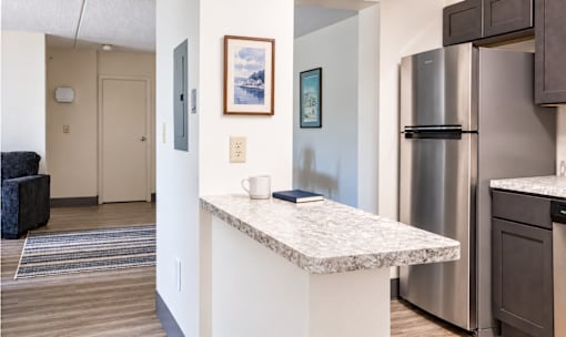 A kitchen area with a marble countertop and a refrigerator.
