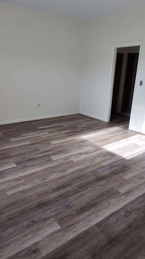 A room with a wooden floor and a door.