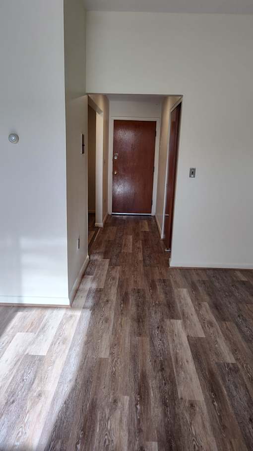 A hallway with a wooden floor and a brown door.