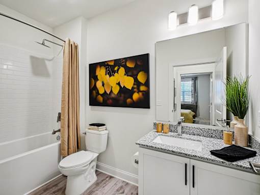 Luxurious Bathroom at Ardmore Meadows, North Carolina