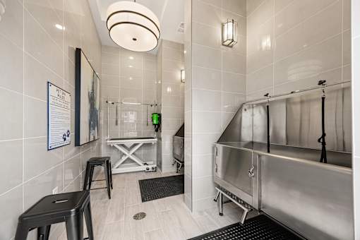 Pet grooming station with stainless steel tubs 1 at Ardmore at Prosperity Apartments, Knoxville, TN 37932