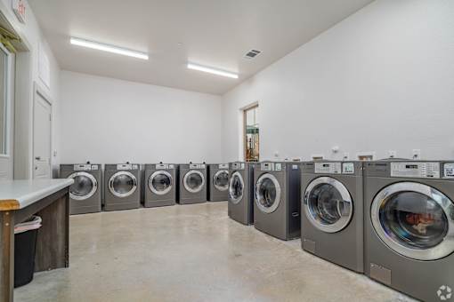 A row of front-loading washing machines are lined up in a laundromat.