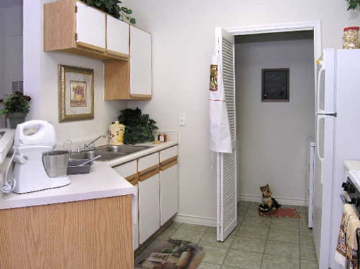 A kitchen with a white mixer and a dog.