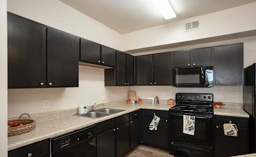 A kitchen with black cabinets and appliances.
