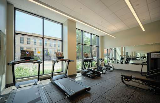 A gym with treadmills, exercise bikes, and other equipment.