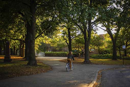 A person riding a bicycle on a paved path in a park.