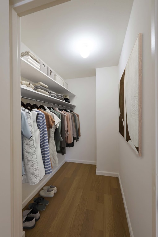 a walk in closet filled with clothes and a painting on the wall