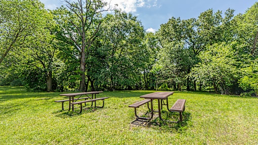 Picnic tables are set up in a grassy area with trees in the background.