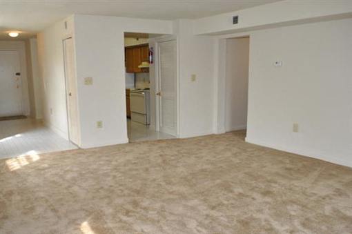 A room with a carpeted floor and white walls.