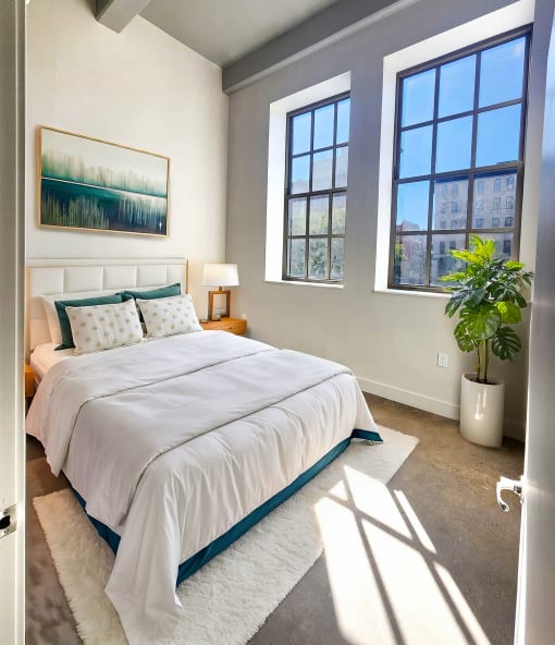 One Bedroom apartment at The Bell in Trenton, New Jersey