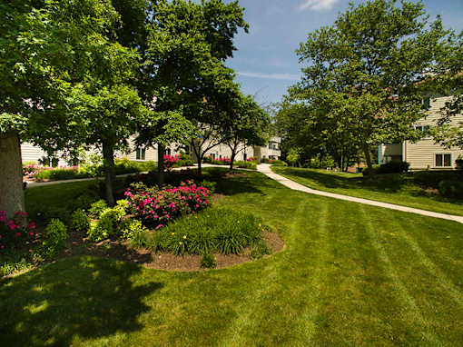 Beautiful Landscaping at West Woods, Annapolis, Maryland