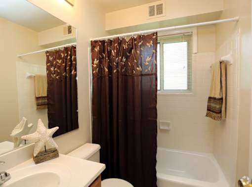 A white sink with a starfish on top of it. at Spa Cove Apartments, Annapolis, 21403