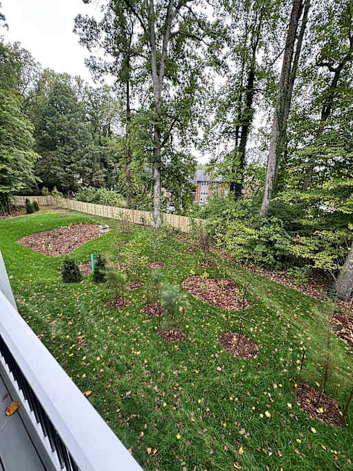 A garden with a fence and trees in the background.