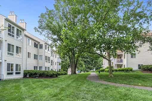 Lush Green Landscape at West Woods, Maryland, 21401
