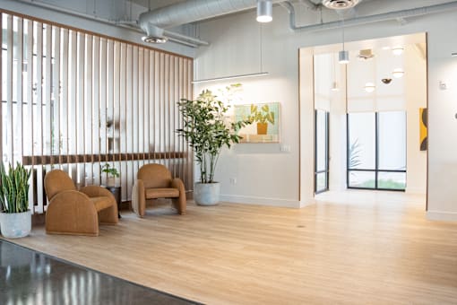 A room with a long table and chairs and a plant.