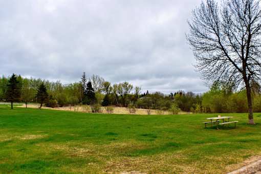 A park with a bench and trees.