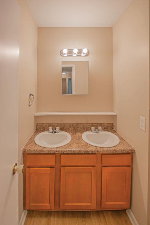 A bathroom with two sinks and a mirror above the counter.