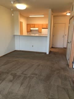 A room with a carpeted floor and a kitchenette in the background.