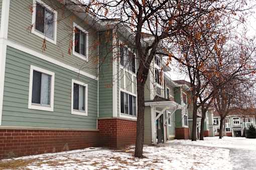 A tree with no leaves stands in front of a building.