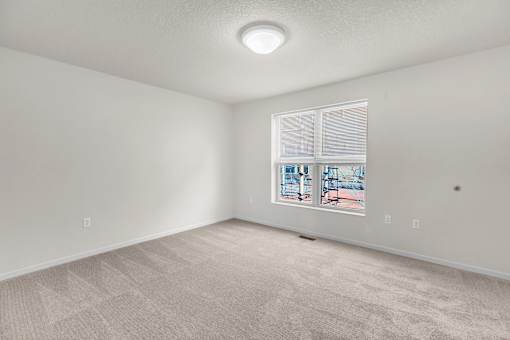 A room with a carpeted floor and a window showing an outdoor view.