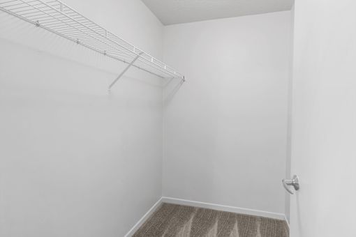 A white closet with a door and a carpeted floor.