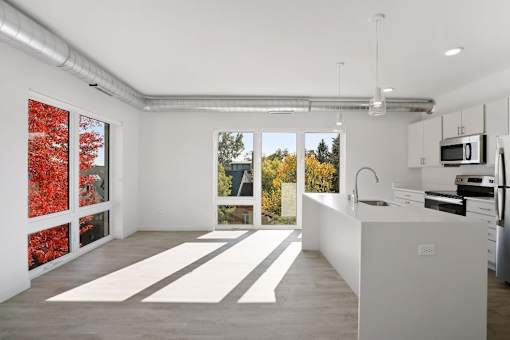 A kitchen with a white counter and a window with red leaves.