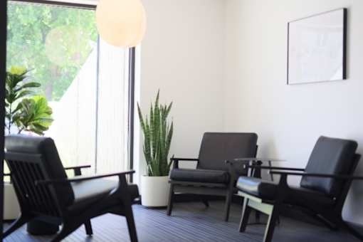 A room with black chairs and a potted plant.