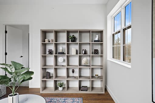 A room with a shelf and a plant.