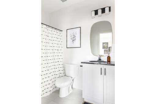 A white toilet sits in a bathroom with a white cabinet and a framed picture on the wall.