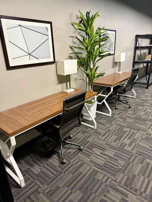A long table with chairs and a plant in a room.