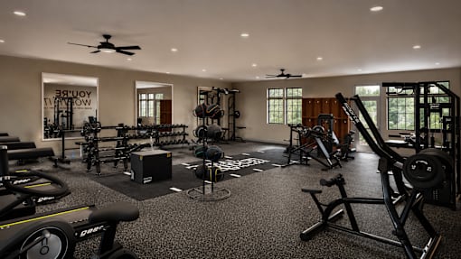 A well-equipped gym with various exercise machines and weights.