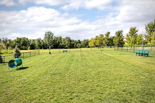 A green grassy field with a blue sky and clouds in the background.