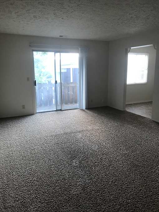 A room with a carpeted floor and a sliding glass door.
